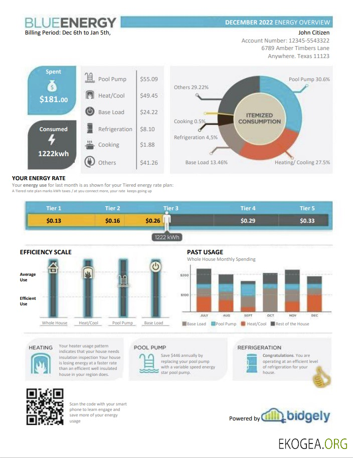 USA Texas Blue Energy utility bill, Word and PDF template